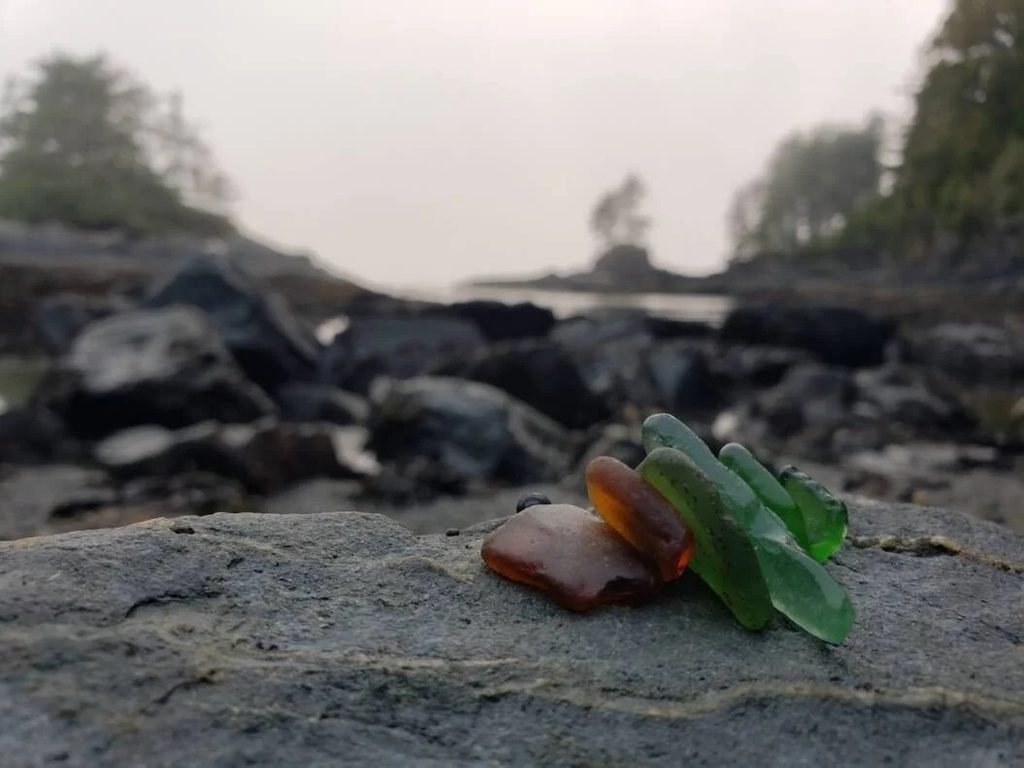 foggy autumn light at Botanical Beach, Vancouver Island, showcases amber and green seaglass on coastal basalt