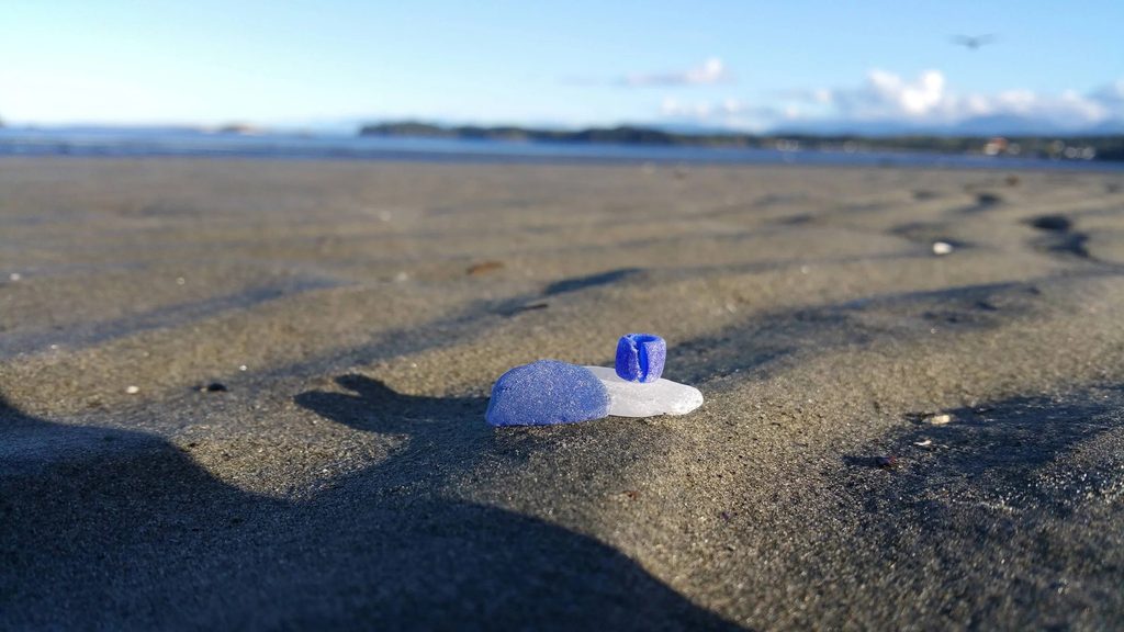 cobalt seaglass pops against the long winter shadows of a Port Hardy day.